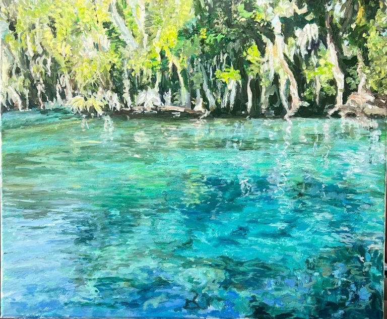 Sweetwater Springs in Ocala National Forest